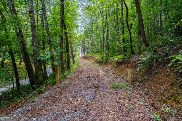 0 Higdon Creek Road, Blue Ridge, GA 30513