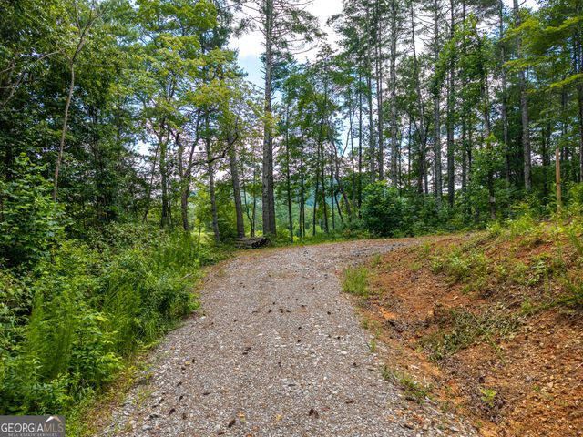 0 Higdon Creek Road, Blue Ridge, GA 30513
