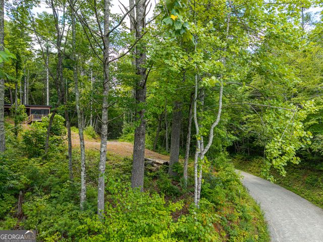 0 Higdon Creek Road, Blue Ridge, GA 30513