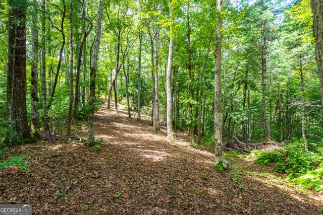 0 Higdon Creek Road, Blue Ridge, GA 30513