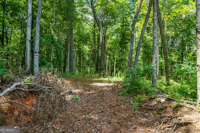 0 Higdon Creek Road, Blue Ridge, GA 30513