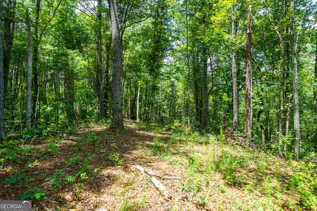 0 Higdon Creek Road, Blue Ridge, GA 30513