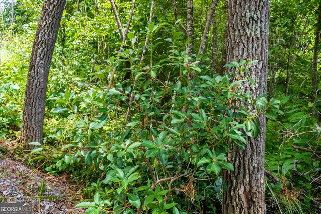 0 Higdon Creek Road, Blue Ridge, GA 30513