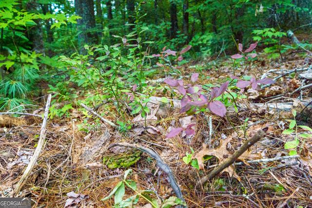 0 Higdon Creek Road, Blue Ridge, GA 30513