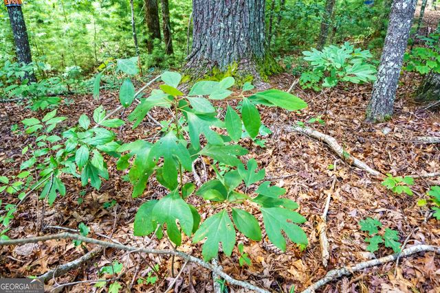 0 Higdon Creek Road, Blue Ridge, GA 30513