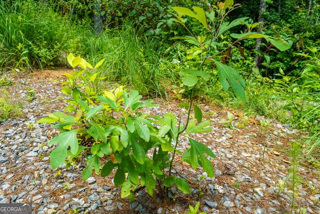 0 Higdon Creek Road, Blue Ridge, GA 30513