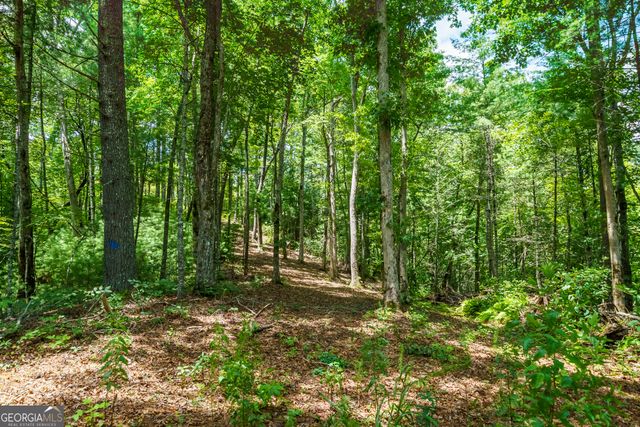 0 Higdon Creek Road, Blue Ridge, GA 30513