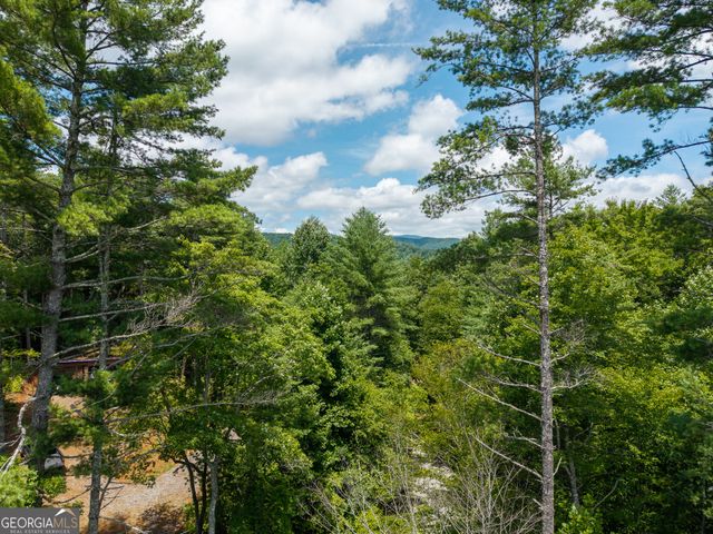 0 Higdon Creek Road, Blue Ridge, GA 30513
