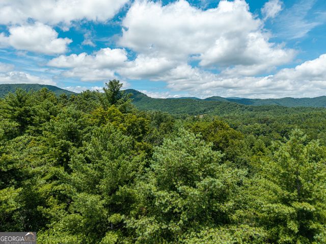 0 Higdon Creek Road, Blue Ridge, GA 30513