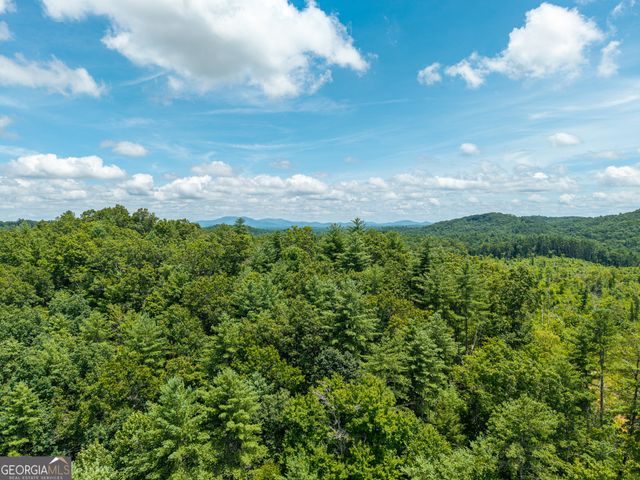 0 Higdon Creek Road, Blue Ridge, GA 30513