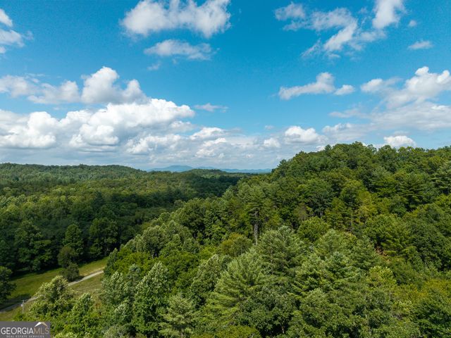 0 Higdon Creek Road, Blue Ridge, GA 30513