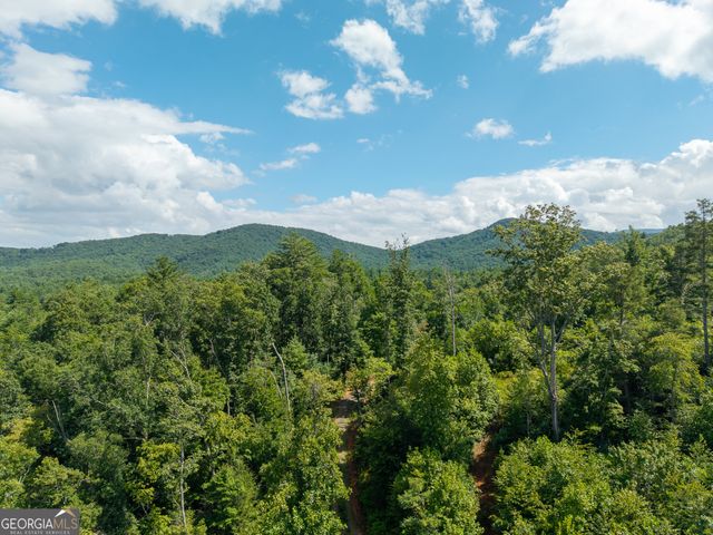 0 Higdon Creek Road, Blue Ridge, GA 30513