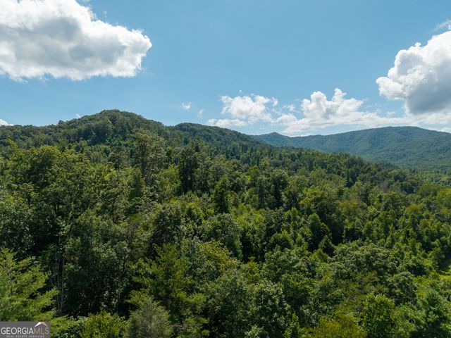 0 Higdon Creek Road, Blue Ridge, GA 30513