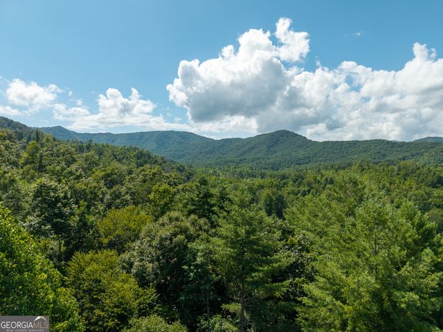 0 Higdon Creek Road, Blue Ridge, GA 30513