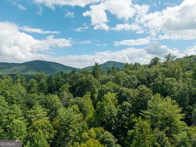 0 Higdon Creek Road, Blue Ridge, GA 30513