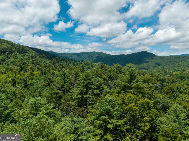0 Higdon Creek Road, Blue Ridge, GA 30513