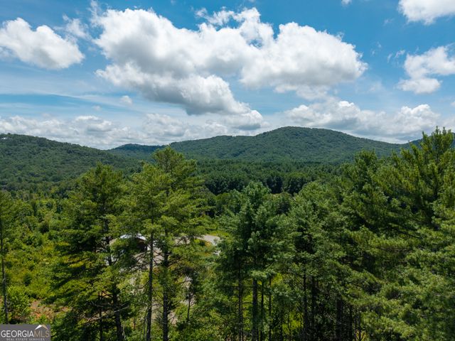 0 Higdon Creek Road, Blue Ridge, GA 30513