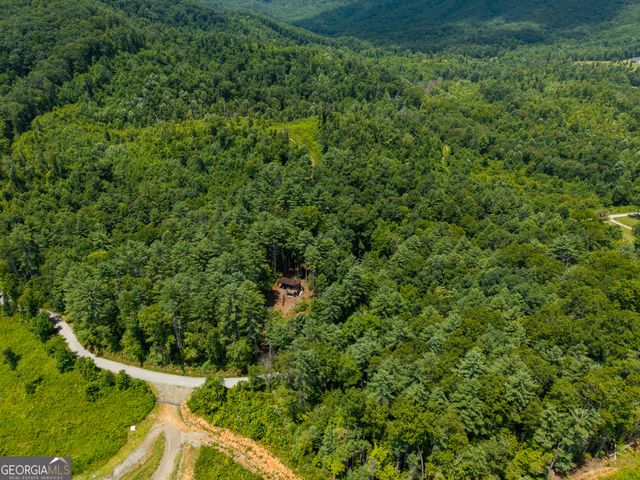 0 Higdon Creek Road, Blue Ridge, GA 30513
