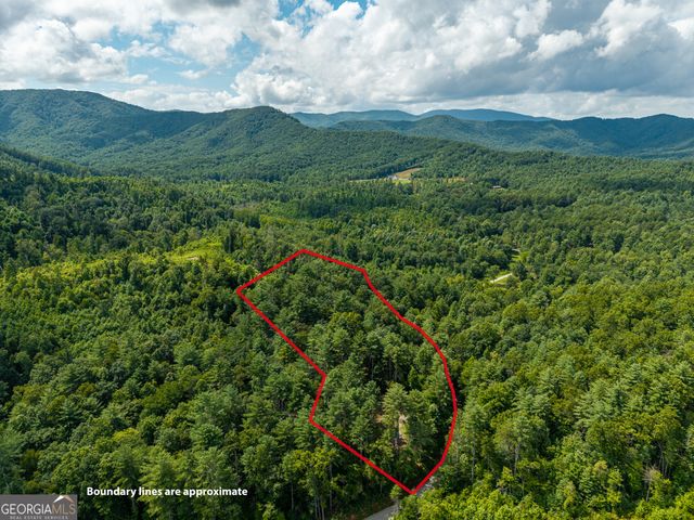 0 Higdon Creek Road, Blue Ridge, GA 30513