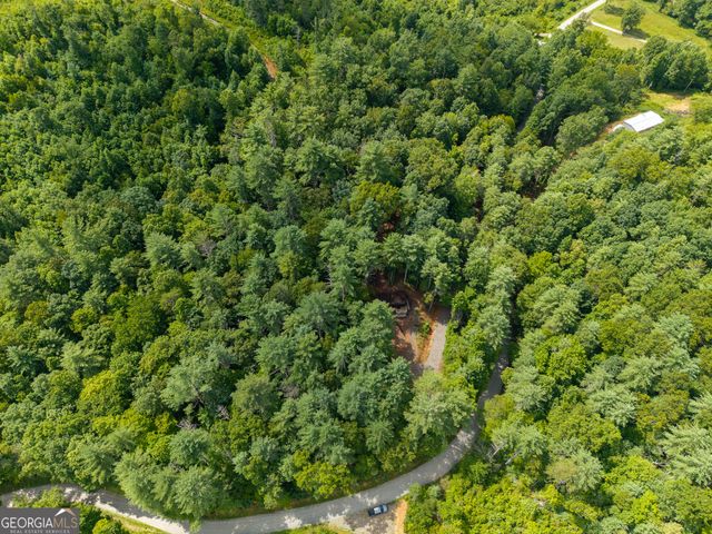 0 Higdon Creek Road, Blue Ridge, GA 30513
