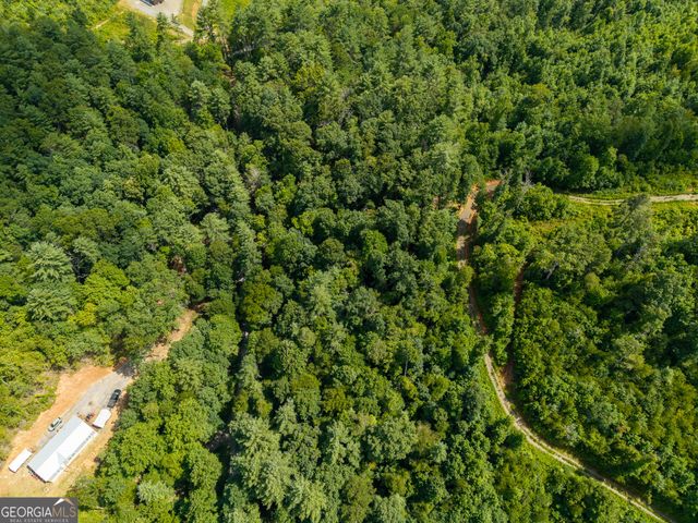 0 Higdon Creek Road, Blue Ridge, GA 30513