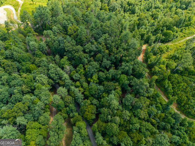 0 Higdon Creek Road, Blue Ridge, GA 30513