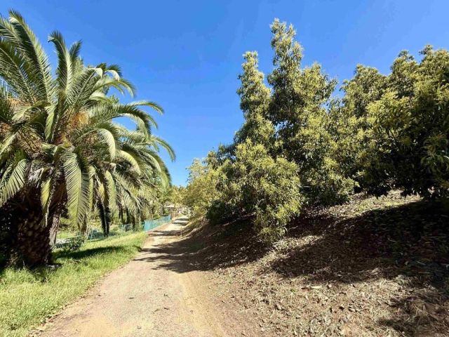 3160 Slivkoff, Escondido, CA 92027