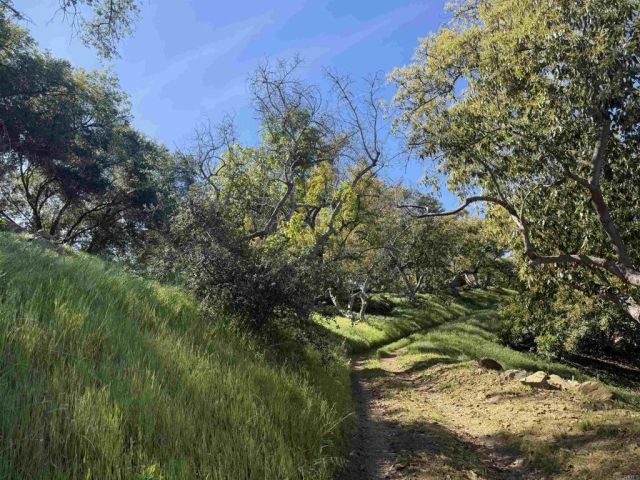 3160 Slivkoff, Escondido, CA 92027