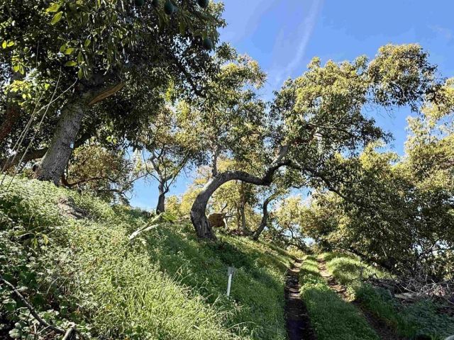3160 Slivkoff, Escondido, CA 92027