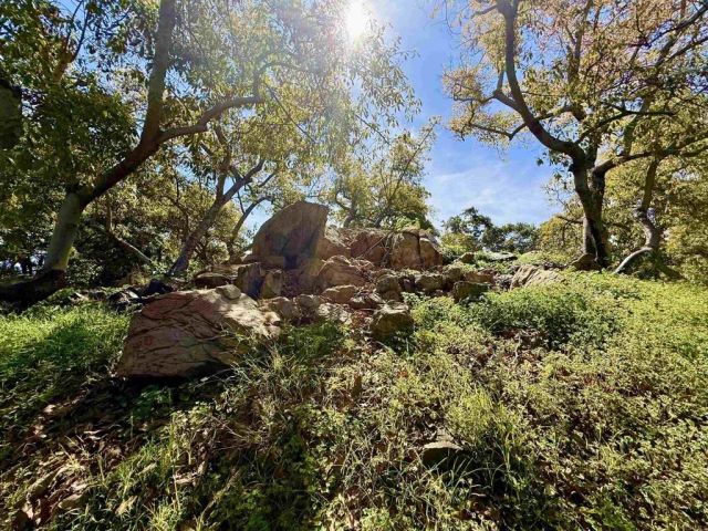 3160 Slivkoff, Escondido, CA 92027