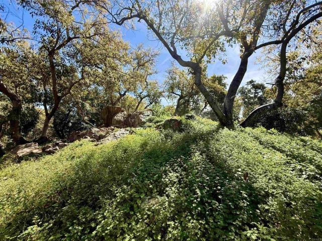 3160 Slivkoff, Escondido, CA 92027