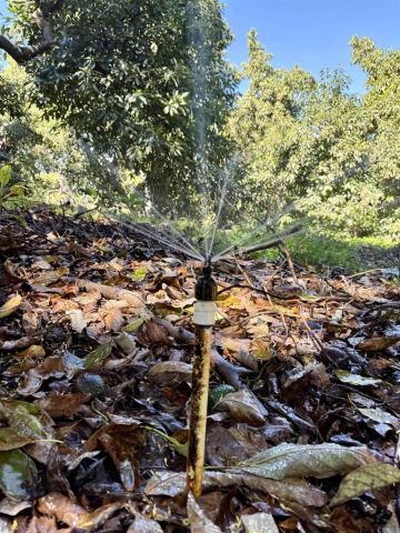 3160 Slivkoff, Escondido, CA 92027