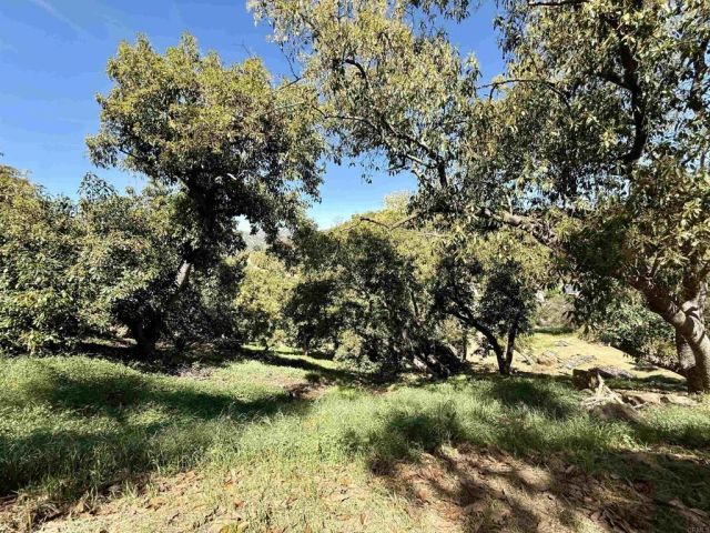 3160 Slivkoff, Escondido, CA 92027