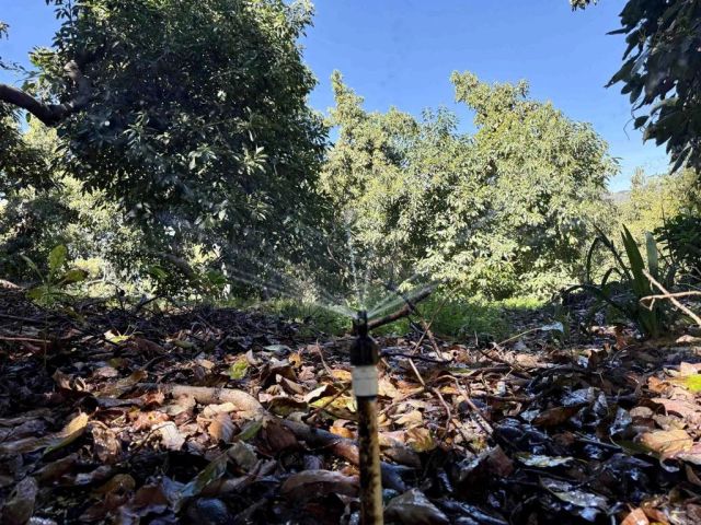 3160 Slivkoff, Escondido, CA 92027