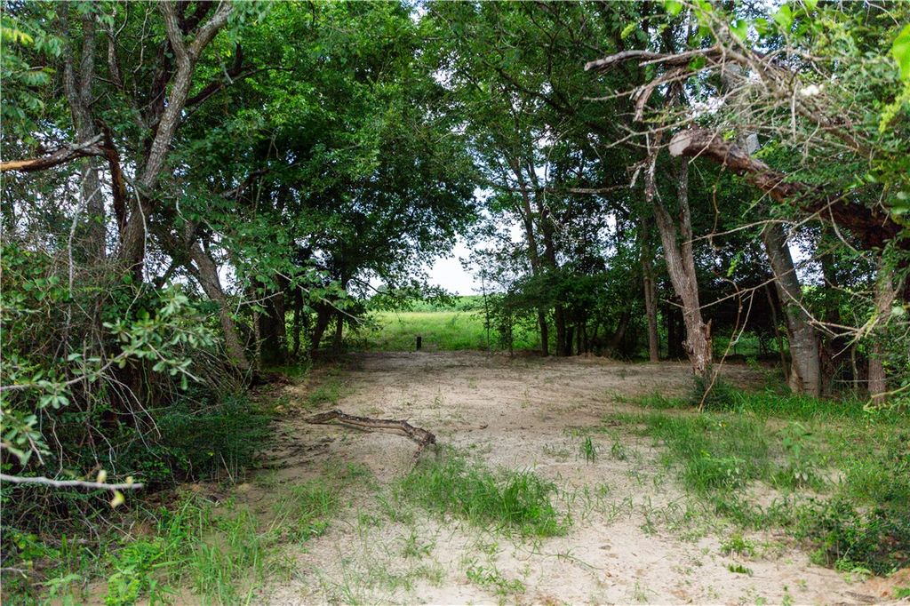 5037 Paulo Court, Bryan, TX 77808 — photo 3