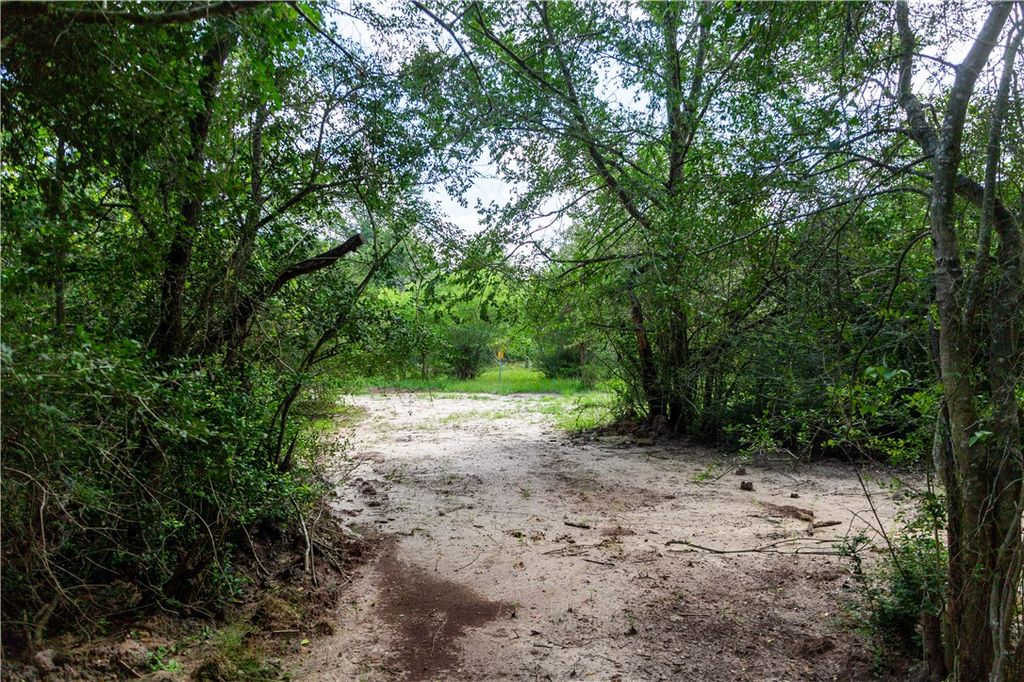5037 Paulo Court, Bryan, TX 77808 — photo 4