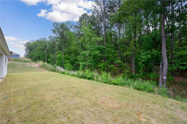 709 FISH CAMP, Chelsea, AL 35043