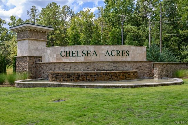 709 FISH CAMP, Chelsea, AL 35043