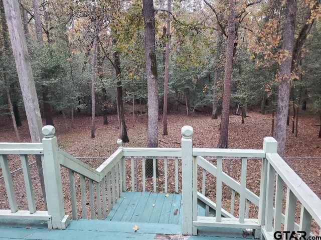 231 Lamplight Path, Holly Lake Ranch, TX 75765