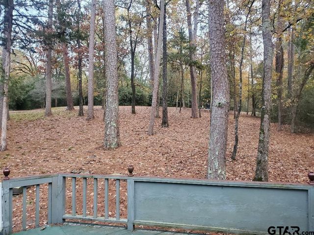 231 Lamplight Path, Holly Lake Ranch, TX 75765