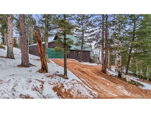 826 Troy Dr, Cripple Creek, CO 80813