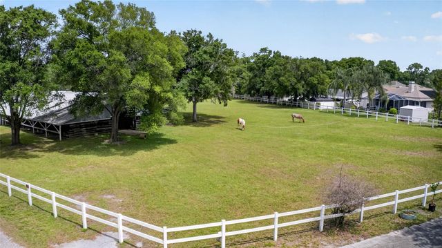 3026 LAKE PADGETT DRIVE, Land O Lakes, FL 34639