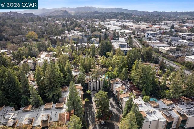 1246 Walker Ave 206, Walnut Creek, CA 94596