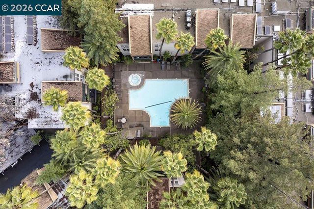 1246 Walker Ave 206, Walnut Creek, CA 94596