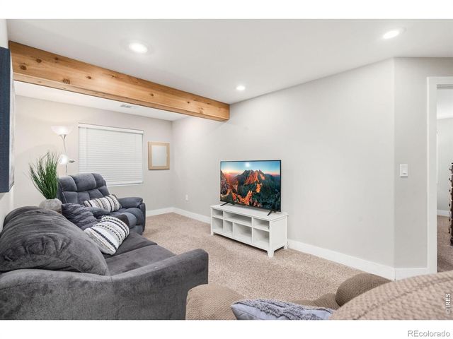 7374 Ocean Ridge Street, Wellington, CO 80549
