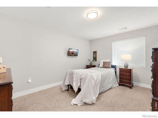 7374 Ocean Ridge Street, Wellington, CO 80549