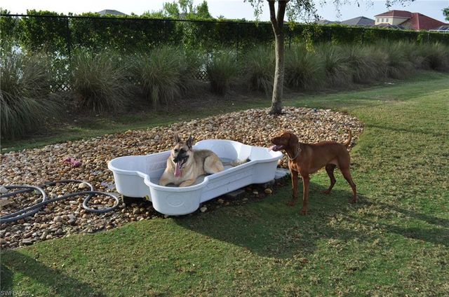 2655 Vareo CT, Cape Coral, FL 33991