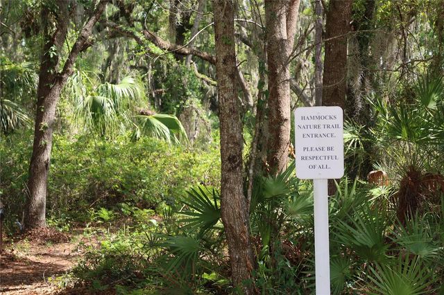 8526 SANDPIPER RIDGE AVENUE, Tampa, FL 33647