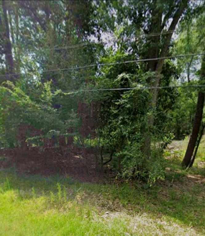 0 White Oak Drive, Houston, TX 77336