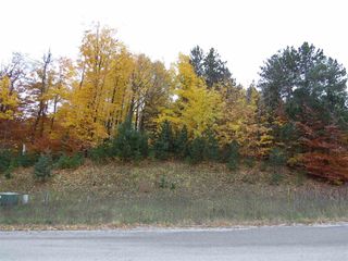 Lot 90 Eden Street, Paradise Twp, MI 49649